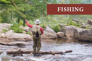 White Mountains Fishing