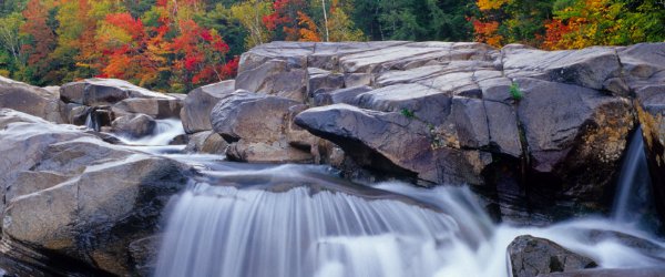 Top White Mountains Restaurants Worth Traveling For!