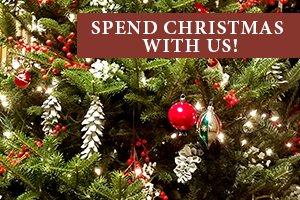 Maple March Madness - Maple Syrup made near Jackson NH