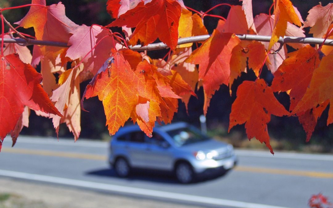 Plenty of Fall Fun in the White Mountains