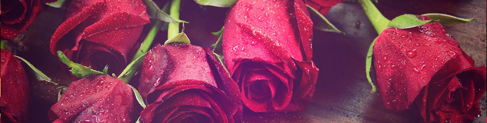 Kids Menu at our Jackson NH Restaurant