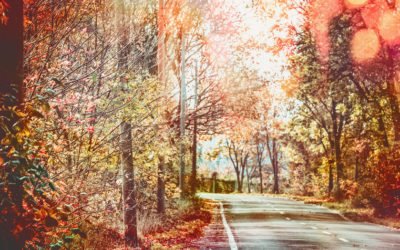 Plan Your White Mountains Fall Foliage Tour