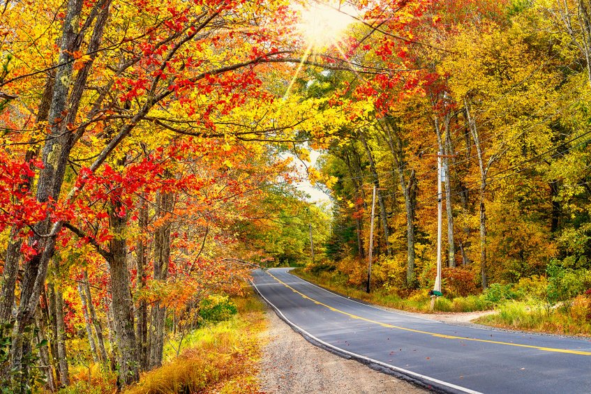 Beautiful autumn road winding through splendid fall foliage in N Boston Globe fall foliage trips